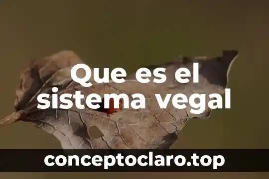 Que es el sistema vegal