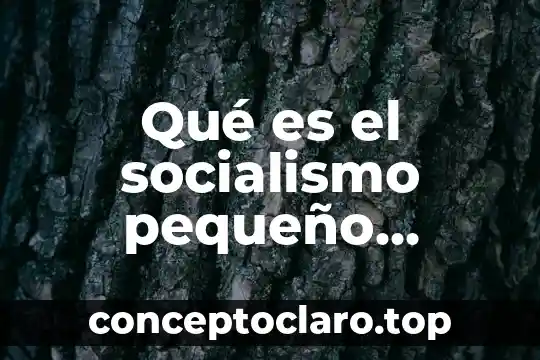 Qué es el socialismo pequeño burgués