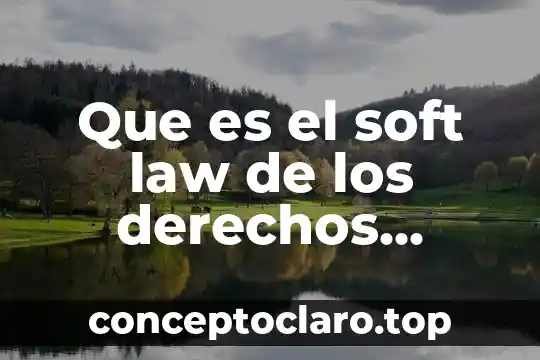 Que es el soft law de los derechos humanos