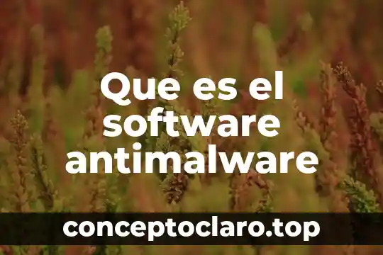 Que es un texto dra 7 Que es el software antimalware