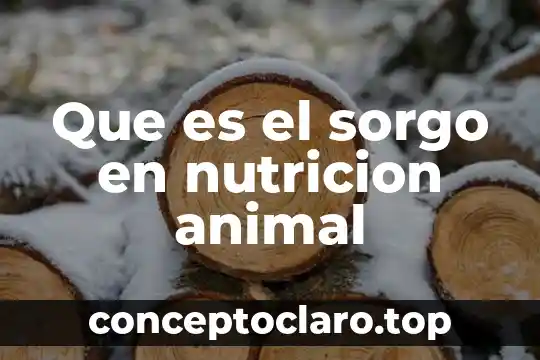 Qué es un animal carnívoro para niños 7 Que es el sorgo en nutricion animal