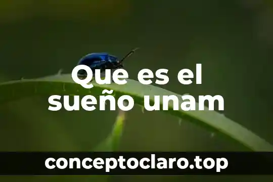 Que es el sueño unam