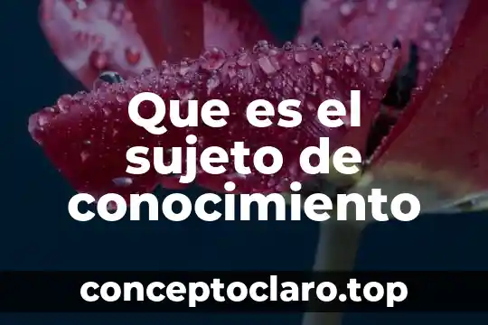 Que es el sujeto de conocimiento