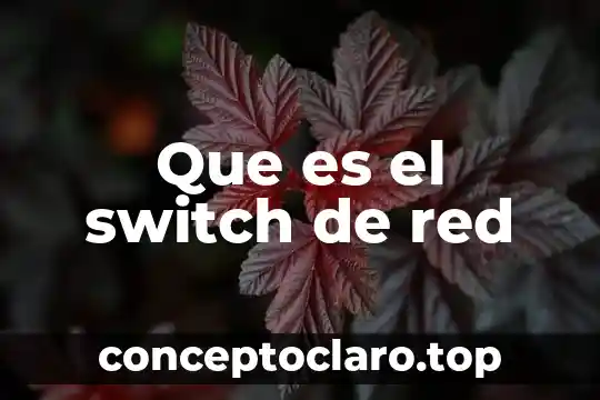 Switch no administrable que es 4 Que es el switch de red