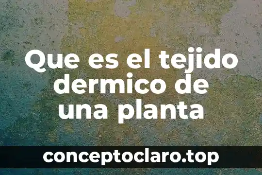 Que es planta tratadora de aguas residuales 3 Que es el tejido dermico de una planta