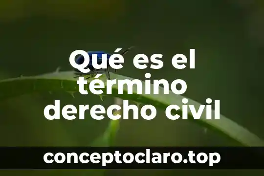 Que es la adopcion segun el codigo civil ecuatoriano 6 Qu茅 es el t茅rmino derecho civil