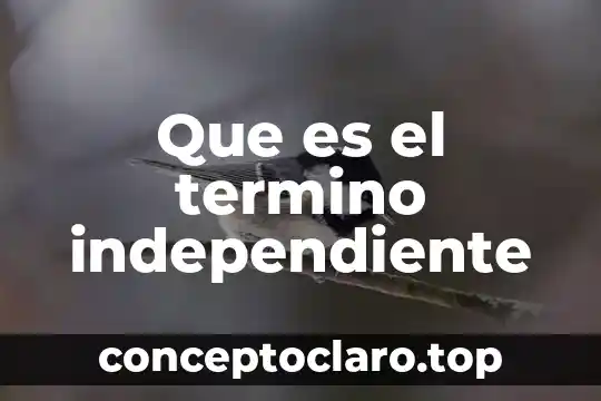 Que es el termino independiente