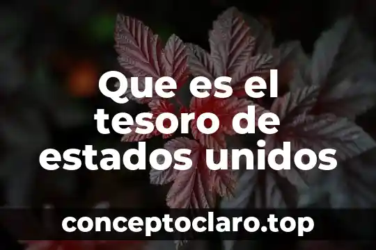 Que es el tesoro de estados unidos