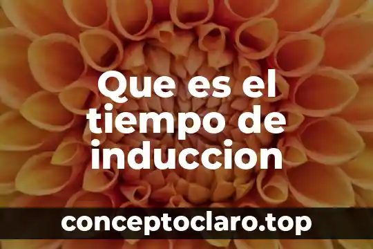 Que es el tiempo de induccion