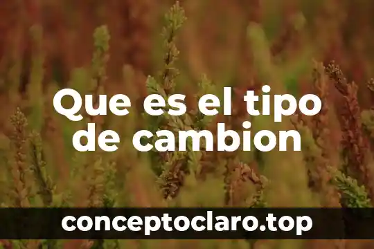 Que es un conectro tipo bnc 5 Que es el tipo de cambion