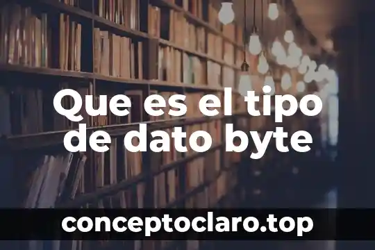 Que es el tipo de dato byte