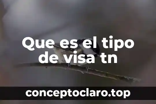 Pokémon tipo fuego que es como un oso 6 Que es el tipo de visa tn