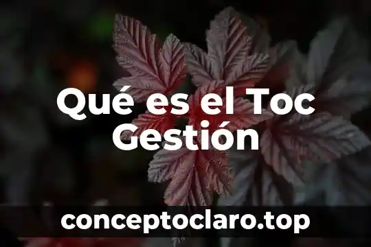 Qué es el Toc Gestión