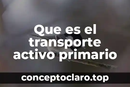 Que es el transporte activo primario