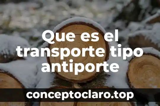 Que es la editorial en un tipo de texto 6 Que es el transporte tipo antiporte