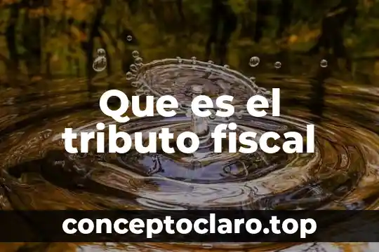 Que es el tributo fiscal