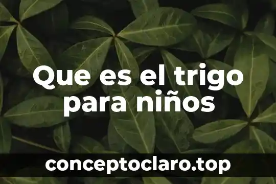 Suayed psicología que es la seriación 4 Que es el trigo para niños