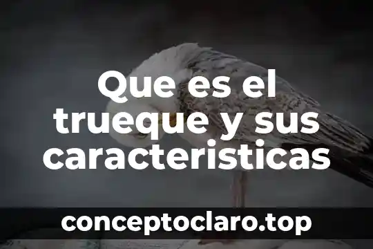 Que es el mercado del trueque en la cdmx 5 Que es el trueque y sus caracteristicas