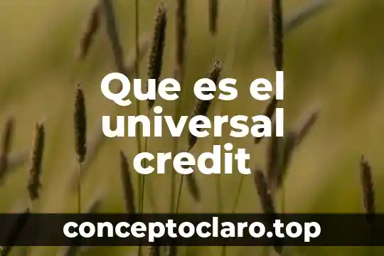 Qué es el imperialismo en historia universal contemporánea 6 Que es el universal credit