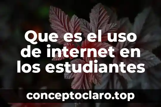 Que es el uso de internet en los estudiantes