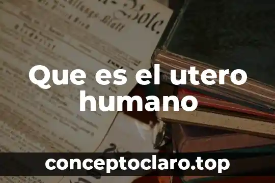 Que es el utero humano