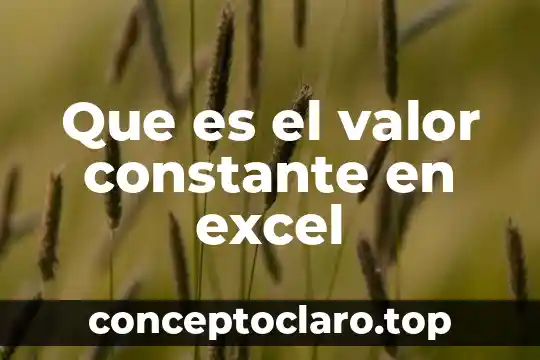 Que es el valor constante en excel