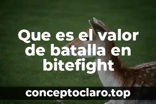 Que es el valor de batalla en bitefight