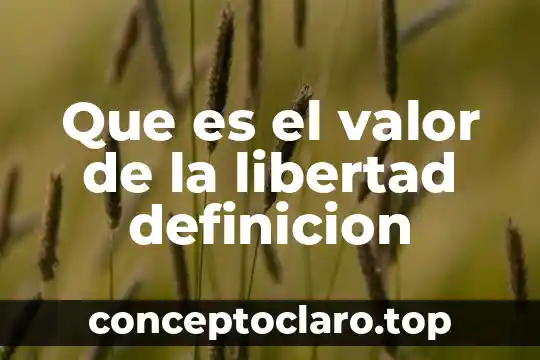 Que es el valor del dinero economia 7 Que es el valor de la libertad definicion