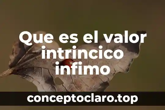 Que es el valor intrincico infimo