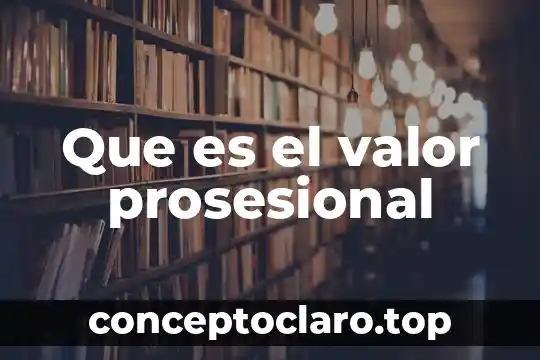 Que es el valor prosesional