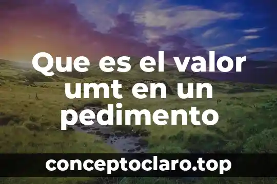 Que es el valor umt en un pedimento