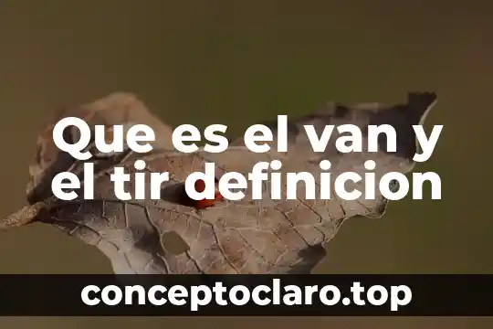 Que es la arquitectura segun mies van der rohe 3 Que es el van y el tir definicion