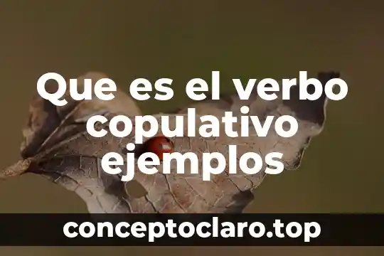 Que es ser latino en verbo pervetido 4 Que es el verbo copulativo ejemplos