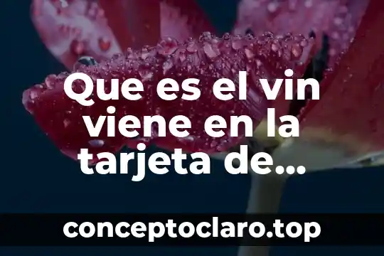 Que es lo que ayuda hacer circulación la sangre 3 Que es el vin viene en la tarjeta de circulacion