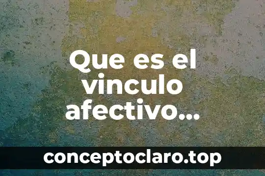 Que es el vinculo afectivo diccionario