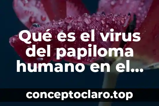 Qué es el virus del papiloma humano en el útero