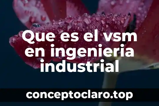 Que es el vsm en ingenieria industrial