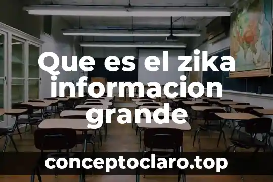 Que es el zika informacion grande