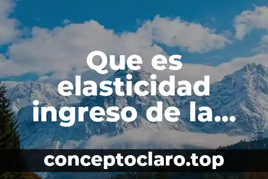 Que es elasticidad ingreso de la demanda en economia