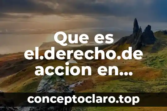Que es acción colectiva 3 Que es el.derecho.de accion en amparo