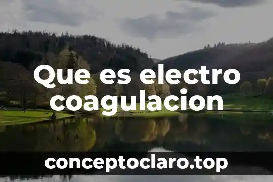 Que es electro coagulacion