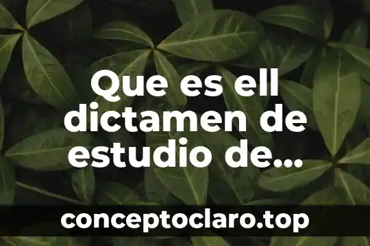Que es dictamen pericial de causalidad vial para que sirve 5 Que es ell dictamen de estudio de riesgos