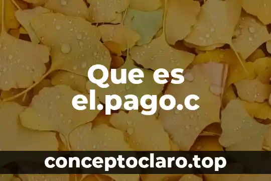 Que es el.pago.c