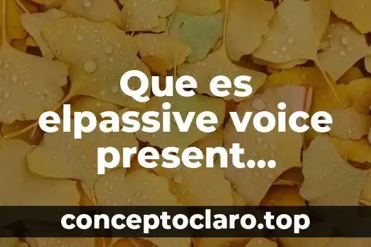 Que es elpassive voice present ejemplos