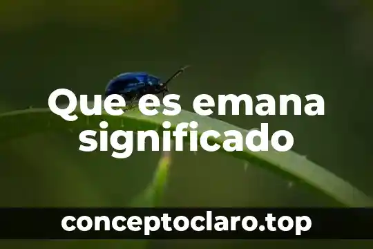 Esvásticas significado 6 Que es emana significado