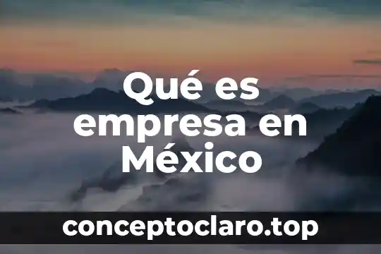 Qué es empresa en México