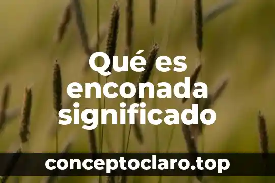 Que es el poder significado y concepto diapositivas 3 Qué es enconada significado