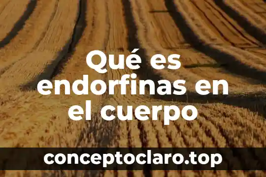 Que es el sosten del cuerpo humano 5 Qué es endorfinas en el cuerpo