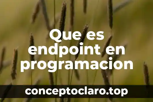 Que es endpoint en programacion