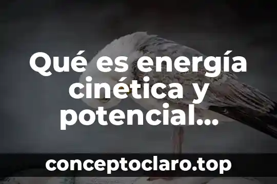 Qué es energía cinética y potencial definición